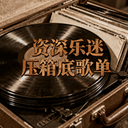 资深乐迷压箱底歌单-盐渍菠萝-盐渍菠萝