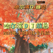 哈尔滨DJ旗总2024(电子琴DJ纯音乐版)--哈尔滨旗歌文化传媒-佚名
