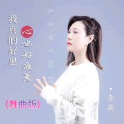 李英-我真的好累心也好疲惫(哈尔滨DJ旗总舞曲独家版)--哈尔滨DJ旗总音乐工作室-佚名