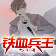 铁血兵王-大头仔-QY看书网