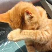 治愈、成就最好的自己-佚名-妖精小丫