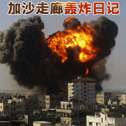 《炮弹下的渴望：加沙走廊轰炸日记（巴勒斯坦）》--储能·生态-佚名