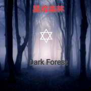 黑暗森林--范奇林-佚名