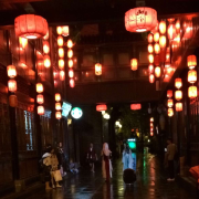 我是高级版-极地有声-维C橘2-