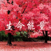 生命能量 – 瑜伽的疗愈音乐，脑波音乐，放松音乐，冥想音乐--KANJIAN疗愈_静心助眠-佚名
