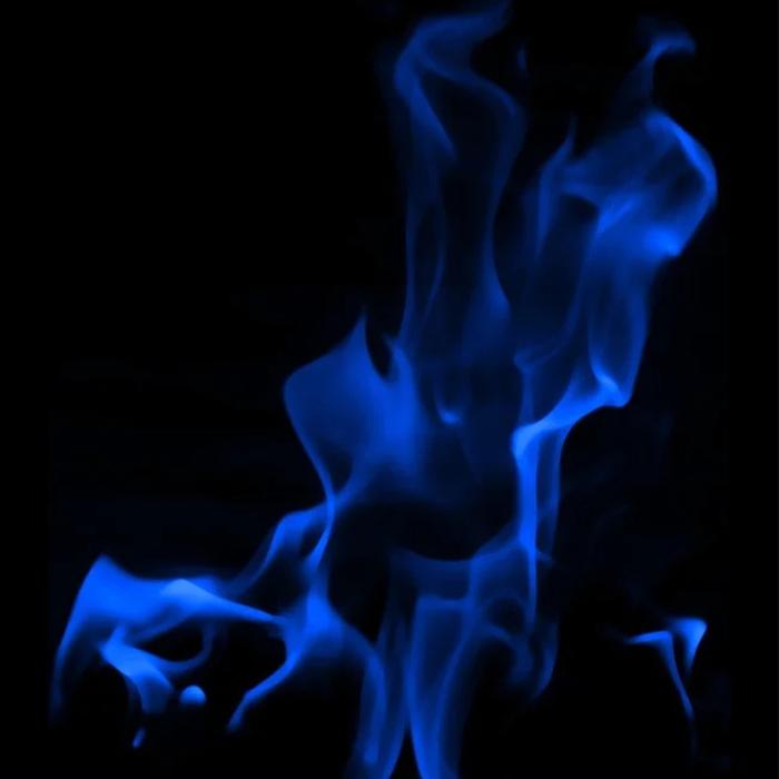 追光--追光的虫子-