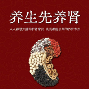 养生先养肾|提升中医养生常识，告别肾虚不疲劳-张兴龙-播音有心君