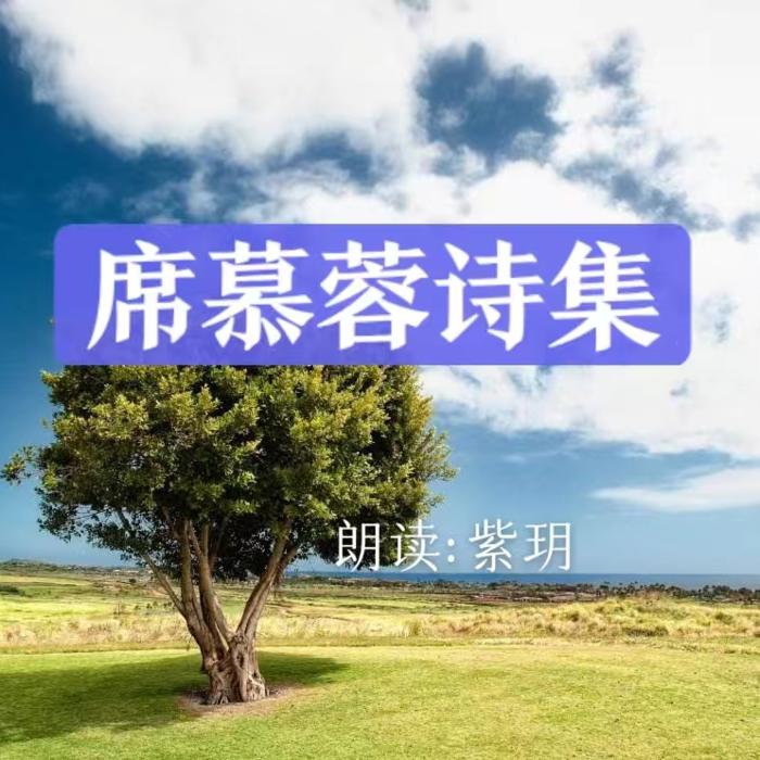 席慕蓉诗集-紫玥-紫玥-