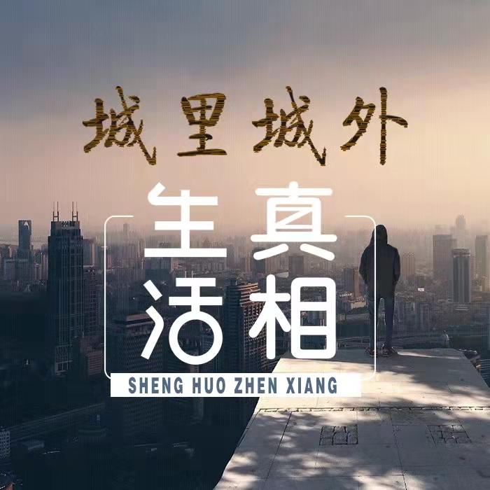 城里城外--周愉的鱼-佚名