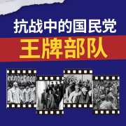 抗戰中的國民黨王牌部隊-蔣斌-大樹