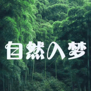 枕着自然入眠 | 白噪音与琴声--关燕仪-