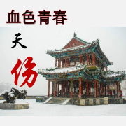 一部大变革时代的忏悔录~天伤-鸿升~胡同串儿-鸿升~胡同串儿-佚名