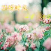 精华轻松治愈纯音乐--悦尔music-佚名