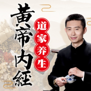 王晨阳讲黄帝内经：四季养生法-文若书声-文若书声-佚名