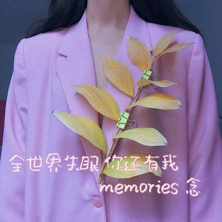 信手念来的时光--Memories 念-佚名