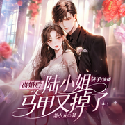 离婚后，陆小姐马甲又掉了|职场婚恋|马甲|追妻火葬场-萧小五-新想象有声