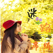 【完结 】迷路  |  作者：席绢--奋斗男-