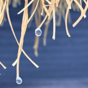 时光--木木呀-佚名