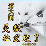 养大的灵狐他反攻了【纯爱】--良月拾光-佚名