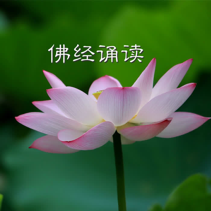 佛经诵读-佚名-主播丁歌
