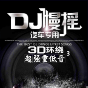 精选歌单DJ车载串烧&sup3;--DJRzi-佚名