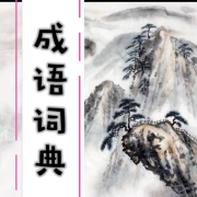 成语词典--华华飞-佚名