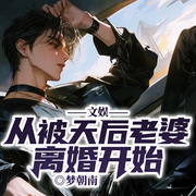 文娱：从被天后老婆离婚开始|隐世天王丨重返巅峰丨娱乐圈风云-梦朝南-留逝-尚可儿