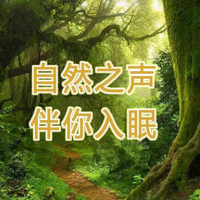 自然之声伴你入眠|助眠|催眠|静心--凌宇-佚名