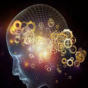 先知 || 纪伯伦 || 精品双播--知错不改小韭菜-