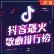 抖音最火歌曲排行榜--DJ彼岸_11131127-佚名