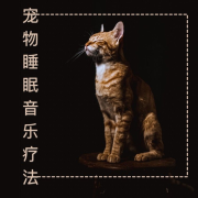 宠物睡眠音乐 - 小狗和小猫的摇篮曲，助眠宠物的安眠曲--KANJIAN疗愈_静心助眠-佚名