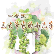 四合院：三大爷家的小儿子【种田 系统 穿越 年代】--小主-