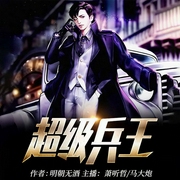 超级兵王-明朝无酒-逐浪小说网，萧听哲