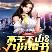《高手下山开局九封婚书》--锅巴男孩-佚名