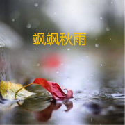 飒飒秋雨--苏夏依-佚名