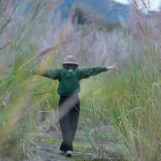 黄金悬案-柯言-柯言-佚名