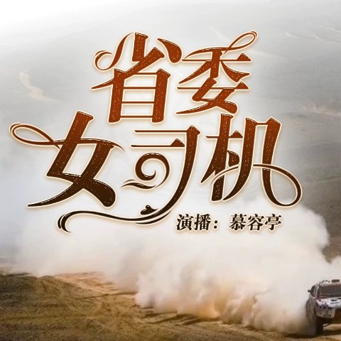 省委女司机|官场|卧底-佚名-主播慕容亭