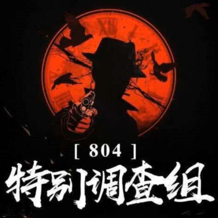 《804特别调查组》--DJ国飞-佚名