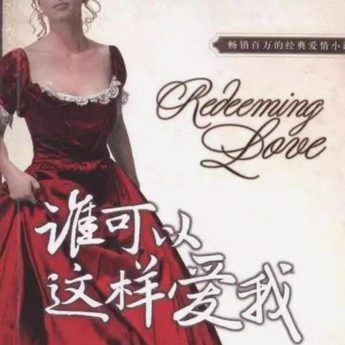 《谁可以这样爱我》【美】弗兰辛•瑞福尔 著--DB书念之境-佚名