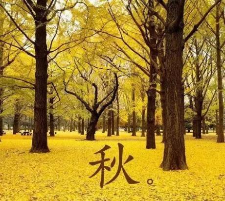 朗诵--华风-