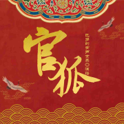 官场N次方 | 官狐 | 智斗&逆袭&情感--巴多-佚名