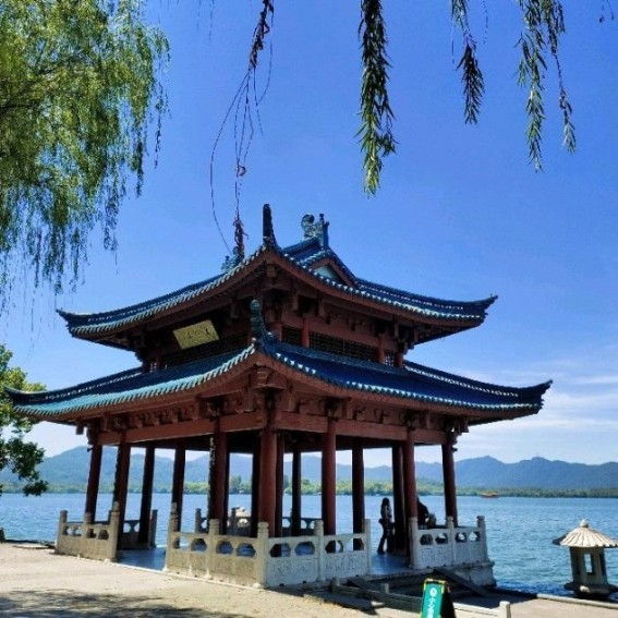 阿茶暖暖讲历史-佚名-阿茶暖暖