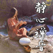 静心禅音｜大自然白噪音与音符的交织 心灵SPA-音乐人梦果-音乐人梦果-佚名