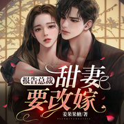 报告总裁：甜妻要改嫁-佚名-博易听书