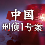 中国刑侦中国刑侦1号案--浓眉阎罗-佚名