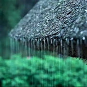 雨声催眠快速入眠--微风拂面-佚名