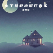 电子琴轻声解压音乐--李少勇-佚名