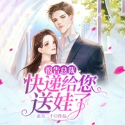 报告总裁，快递给您送娃了-正月二十-久邦听书，星辉老赵