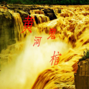 黄河鬼棺--问心无声-佚名