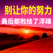 别让你的努力，最后都败给了浮躁-清风渡心-坤蕾热播书